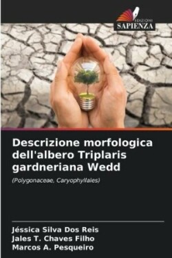 Descrizione morfologica dell'albero Triplaris gardneriana Wedd