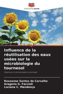 Influence de la réutilisation des eaux usées sur la microbiologie du tournesol