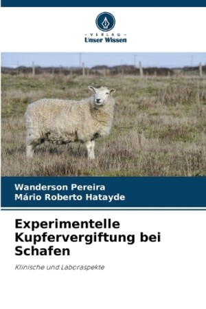 Experimentelle Kupfervergiftung bei Schafen