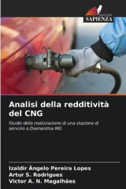 Analisi della redditività del CNG