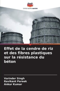 Effet de la cendre de riz et des fibres plastiques sur la résistance du béton