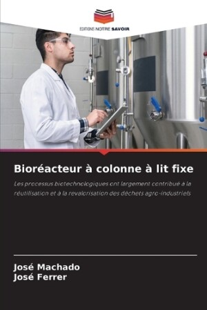 Bioréacteur à colonne à lit fixe