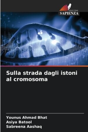 Sulla strada dagli istoni al cromosoma