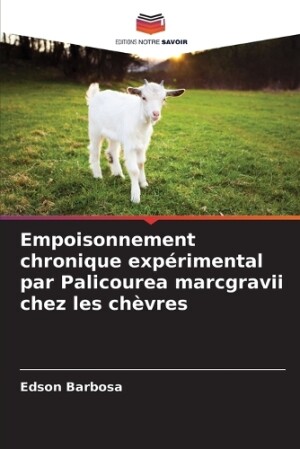 Empoisonnement chronique expérimental par Palicourea marcgravii chez les chèvres