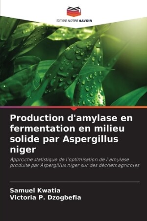 Production d'amylase en fermentation en milieu solide par Aspergillus niger