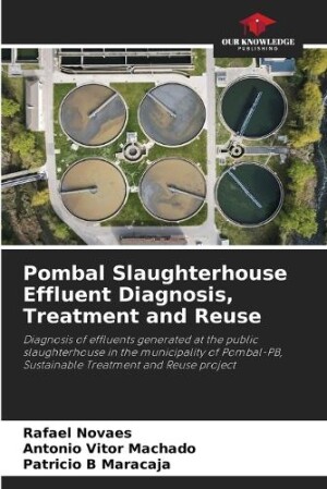 Pombal Slaughterhouse Effluent Diagnosis, Treatment and Reuse