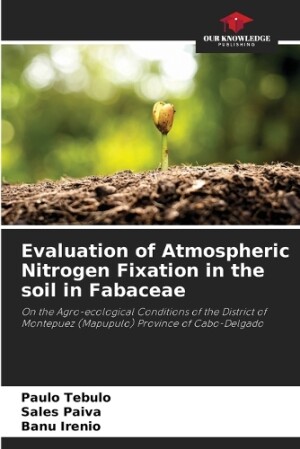 Evaluation of Atmospheric Nitrogen Fixation in the soil in Fabaceae