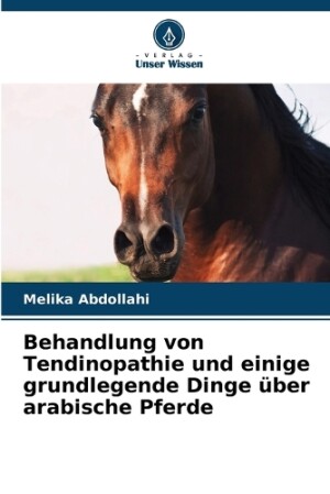 Behandlung von Tendinopathie und einige grundlegende Dinge über arabische Pferde