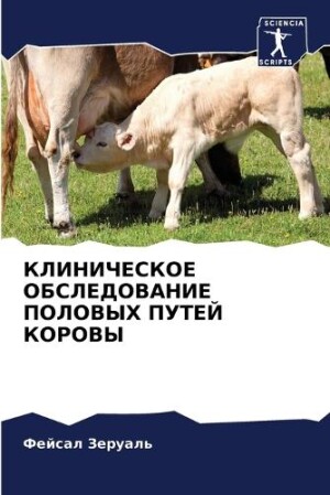 КЛИНИЧЕСКОЕ ОБСЛЕДОВАНИЕ ПОЛОВЫХ ПУТЕЙ К