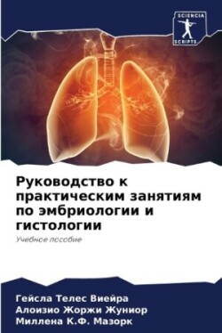 Руководство к практическим занятиям по э&#1084