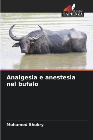 Analgesia e anestesia nel bufalo