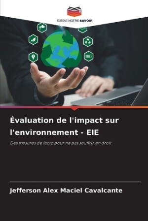 Évaluation de l'impact sur l'environnement - EIE