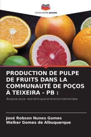 Production de Pulpe de Fruits Dans La Communauté de Poços À Teixeira - PB