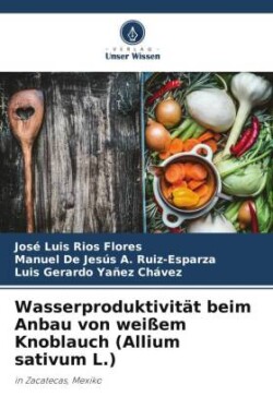 Wasserproduktivität beim Anbau von weißem Knoblauch (Allium sativum L.)