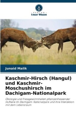 Kaschmir-Hirsch (Hangul) und Kaschmir-Moschushirsch im Dachigam-Nationalpark