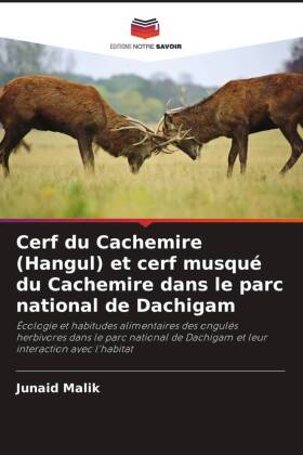 Cerf du Cachemire (Hangul) et cerf musqué du Cachemire dans le parc national de Dachigam