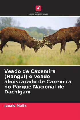 Veado de Caxemira (Hangul) e veado almiscarado de Caxemira no Parque Nacional de Dachigam