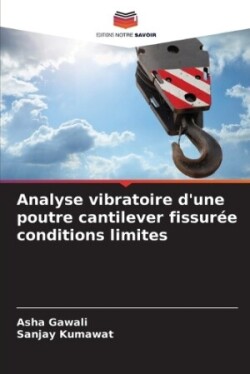 Analyse vibratoire d'une poutre cantilever fissurée conditions limites