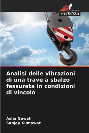 Analisi delle vibrazioni di una trave a sbalzo fessurata in condizioni di vincolo