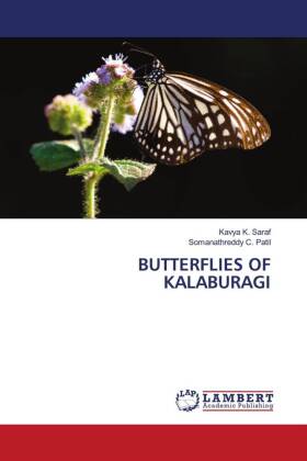 Butterflies of Kalaburagi