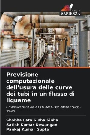 Previsione computazionale dell'usura delle curve dei tubi in un flusso di liquame