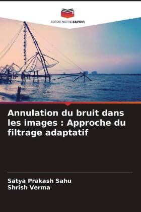 Annulation du bruit dans les images : Approche du filtrage adaptatif