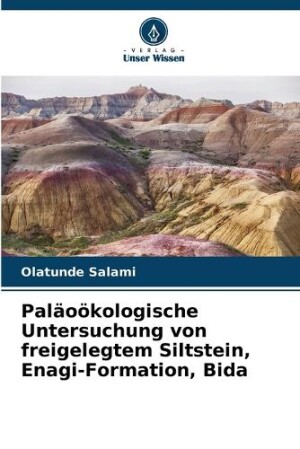 Paläoökologische Untersuchung von freigelegtem Siltstein, Enagi-Formation, Bida