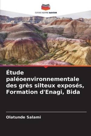 Étude paléoenvironnementale des grès silteux exposés, Formation d'Enagi, Bida