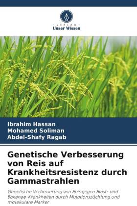 Genetische Verbesserung von Reis auf Krankheitsresistenz durch Gammastrahlen