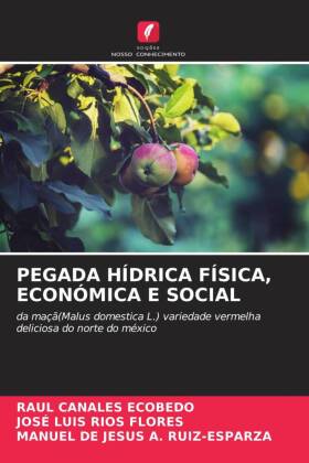 PEGADA HÍDRICA FÍSICA, ECONÓMICA E SOCIAL