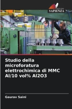 Studio della microforatura elettrochimica di MMC Al/10 vol% Al2O3