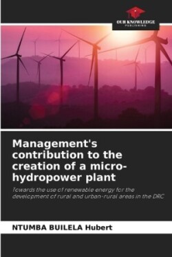 Management's contribution to the creation of a micro-hydropower plant