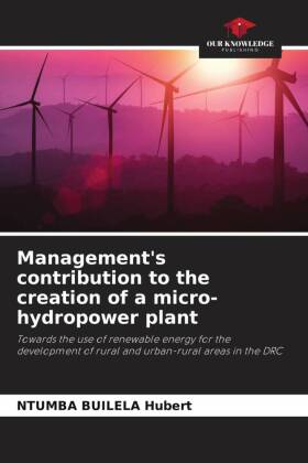 Management's contribution to the creation of a micro-hydropower plant