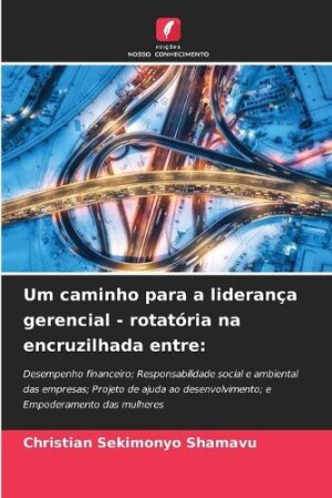 Um caminho para a liderança gerencial - rotatória na encruzilhada entre