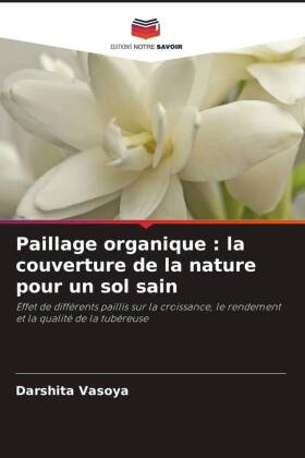 Paillage organique : la couverture de la nature pour un sol sain