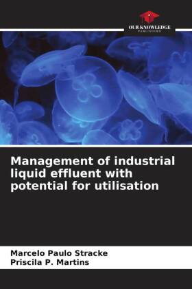 Management of industrial liquid effluent with potential for utilisation