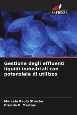 Gestione degli effluenti liquidi industriali con potenziale di utilizzo