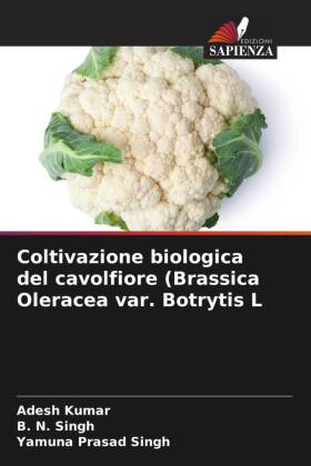 Coltivazione biologica del cavolfiore (Brassica Oleracea var. Botrytis L