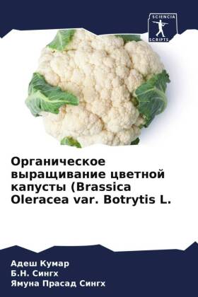 Organicheskoe wyraschiwanie cwetnoj kapusty (Brassica Oleracea var. Botrytis L.