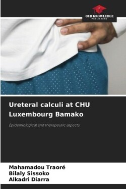 Ureteral calculi at CHU Luxembourg Bamako