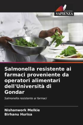 Salmonella resistente ai farmaci proveniente da operatori alimentari dell'Università di Gondar