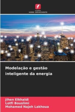 Modelação e gestão inteligente da energia