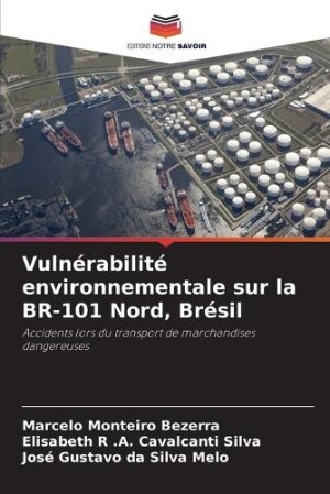 Vulnérabilité environnementale sur la BR-101 Nord, Brésil