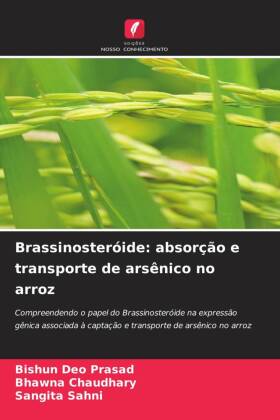 Brassinosteróide: absorção e transporte de arsênico no arroz