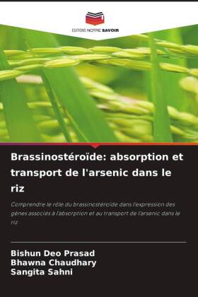 Brassinostéroïde: absorption et transport de l'arsenic dans le riz