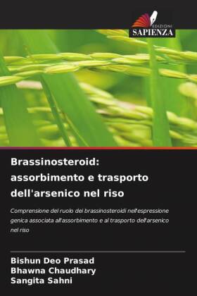 Brassinosteroid: assorbimento e trasporto dell'arsenico nel riso