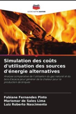 Simulation des coûts d'utilisation des sources d'énergie alternatives