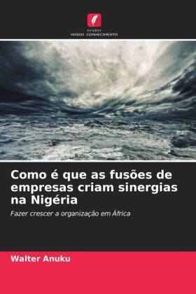 Como é que as fusões de empresas criam sinergias na Nigéria