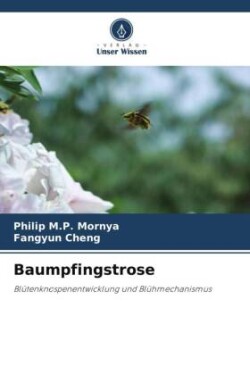 Baumpfingstrose