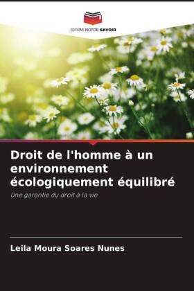 Droit de l'homme à un environnement écologiquement équilibré